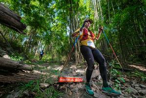 BIB: 
                            <button type="button" onclick="openModal(19392714)" class="btn btn-primary btn-sm float-right btn-popup" data-toggle="modal" data-target=".modal-high-quality">
                        <i class="fas fa-shopping-cart"></i> Add to Cart
                    </button>
                                            <button type="button" onclick="isThisMe(19392714, true)" class="btn btn-success btn-sm float-right btn-popup btn-isme hidden" data-toggle="tooltip" data-placement="bottom" title="นี่คือรูปของคุณใช่ไหม คลิกที่นี่เพื่อเอาเข้าอัลบั้ม">
                        <i class="fas fa-plus"></i> Add to album
                    </button>
                    <button type="button" onclick="isThisMe(19392714, false)" class="btn btn-warning btn-sm float-right btn-popup btn-isnotme hidden">
                        <i class="fas fa-ban"></i> Remove from album
                    </button>